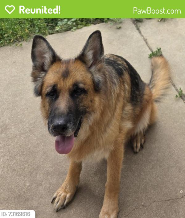 Reunited Male Dog last seen E Girard Ave and S Dahlia St, Denver, CO 80222