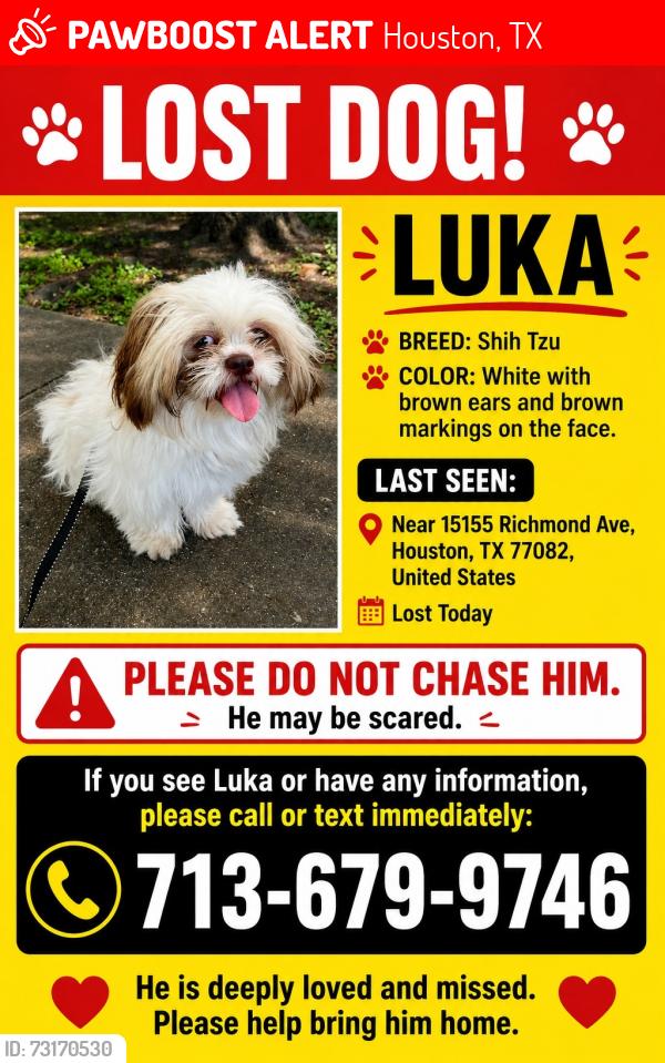 Lost Male Dog last seen Richmond and Westheimer, Houston, TX 77082
