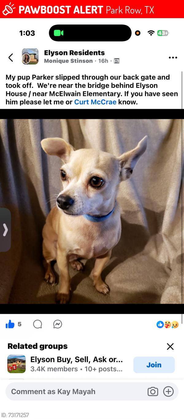 Lost Male Dog last seen near the bridge by Elyson hse near McElwain Elementary, Park Row, TX 77493