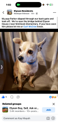 Lost Male Dog last seen near the bridge by Elyson hse near McElwain Elementary, Park Row, TX 77493