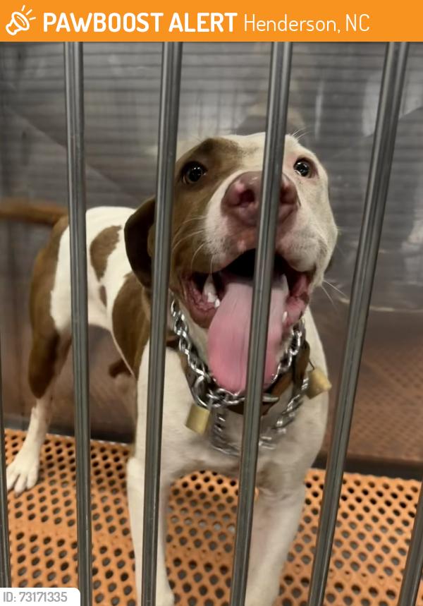 Found/Stray Male Dog last seen W. Rockspring st, Henderson, NC 27536