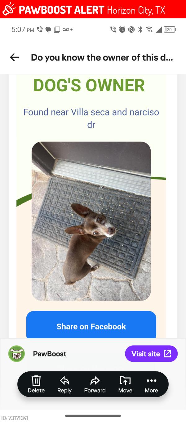 Lost Female Dog last seen Villa seca, Horizon City, TX 79928