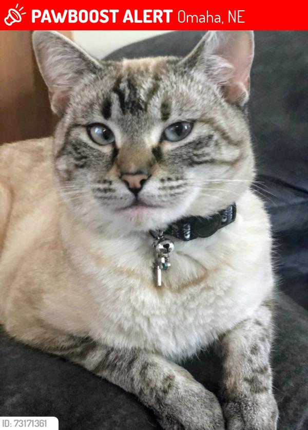 Lost Female Cat last seen By the dog park at Gene Leahy Park, Omaha, NE 68102