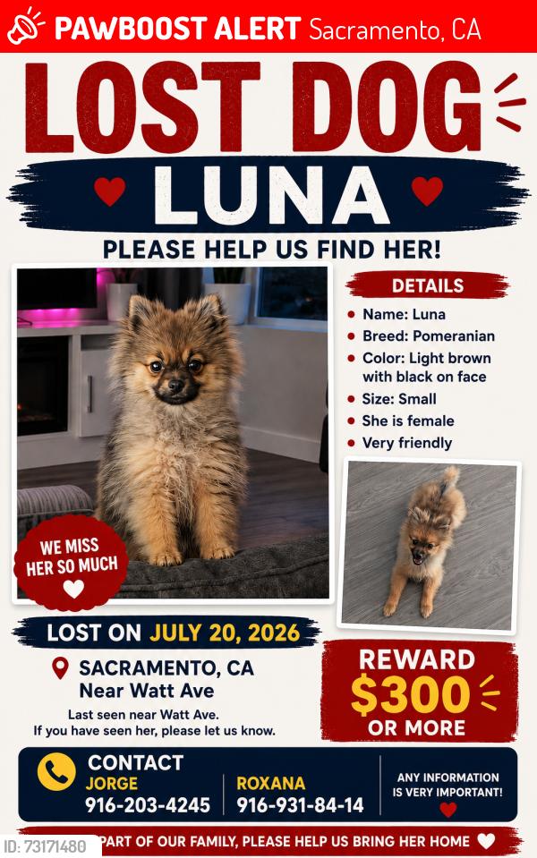Lost Female Dog last seen South port drive and Nasreen drive, Sacramento, CA 95826