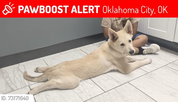 Lost Male Dog last seen Oklahoma, Oklahoma City, OK 73114