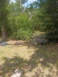 Reunited Female Dog last seen hwy 31, Tyler, TX 75708
