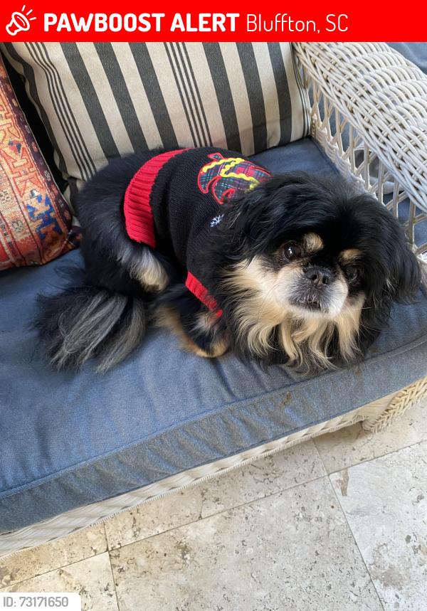 Lost Female Dog last seen Near Red Cedar Elementary, Bluffton, SC 29910
