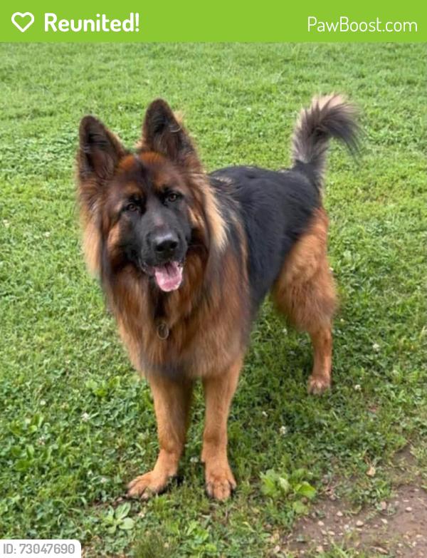 Reunited Male Dog last seen Highway 112, Springdale, AR 72762