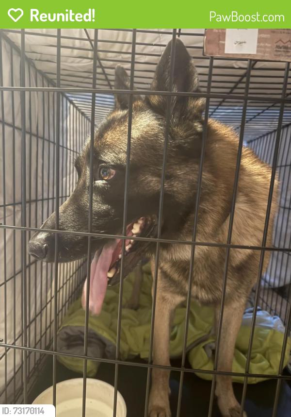 Reunited Male Dog last seen South end Oregon city, Oregon City, OR 97045