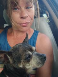 Reunited Female Dog last seen Hollywood and Oakwood in Euless TX, Euless, TX 76040
