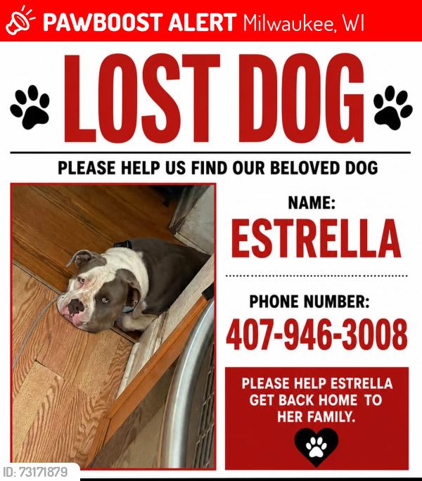 Lost Female Dog last seen Milwaukee, Milwaukee, WI 53222
