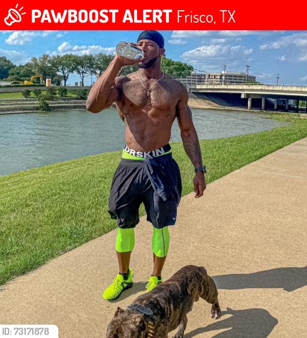 Lost Male Dog last seen Plantation lm, Frisco, TX 75035