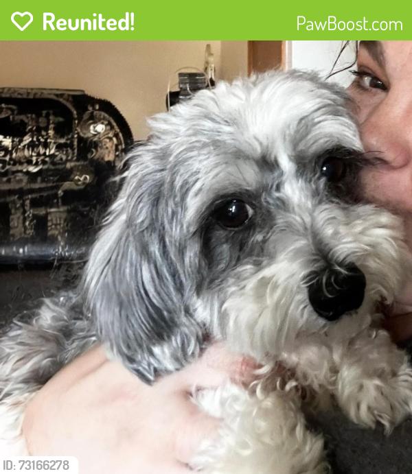Reunited Female Dog last seen Husset park off of 40th ave, Minneapolis, MN 55421