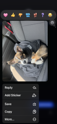 Reunited Male Dog last seen By old cemetery, Redford Township, MI 48239