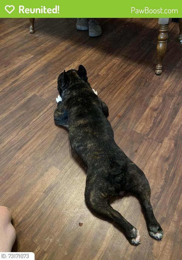 Reunited Unknown Dog last seen Laurel Land Funeral Home, Fort Worth, TX 76134