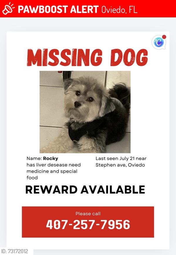 Lost Male Dog last seen Broadway, oviedo, Oviedo, FL 32765
