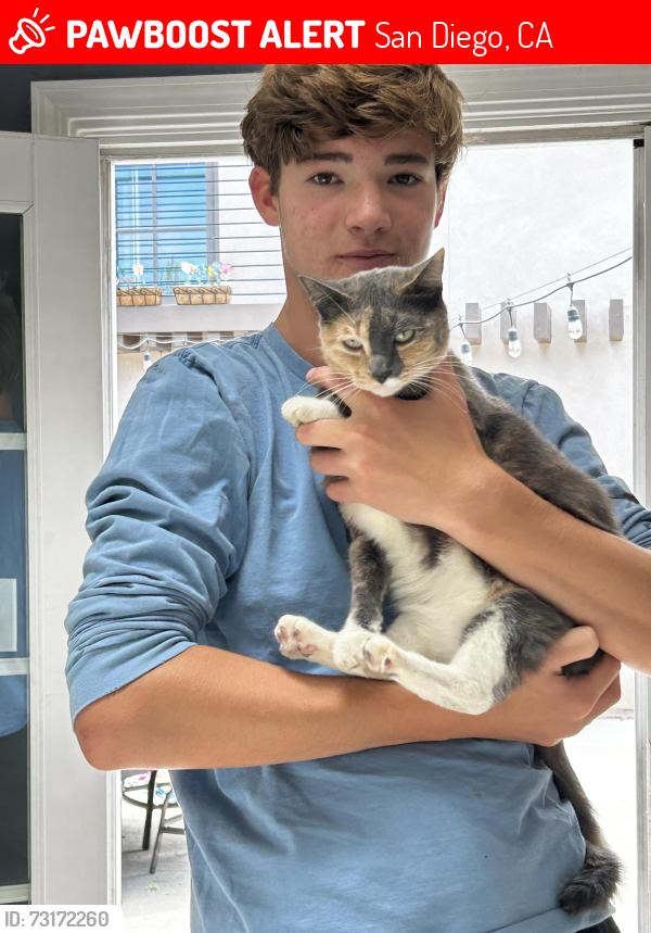 Lost Female Cat last seen Near Sapphire Street, San Diego Ca 92109, San Diego, CA 92109