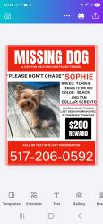 Reunited Female Dog last seen Between Tompkins rd and Onondaga rd, Tompkins Township, MI 49277