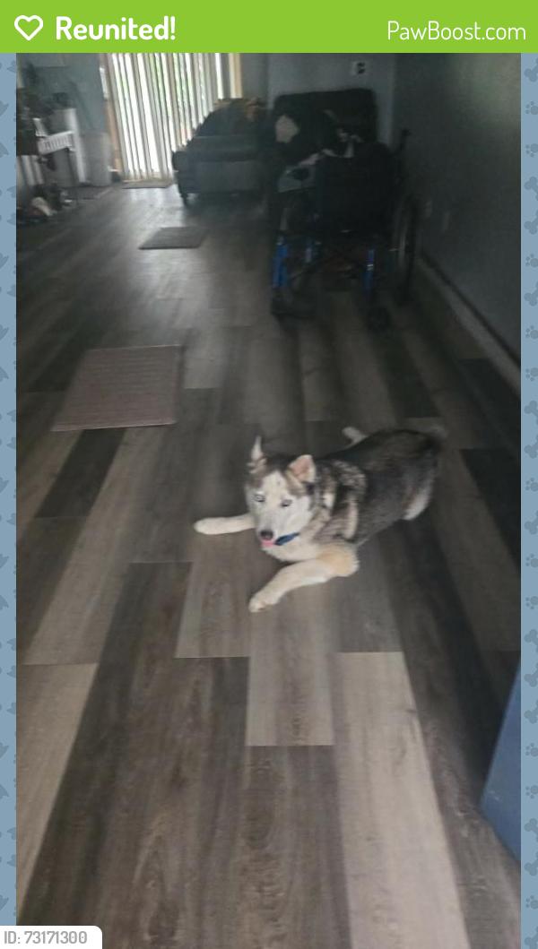 Reunited Female Dog last seen 53rd at entrance of Montbello Rec Center, Denver, CO 80239