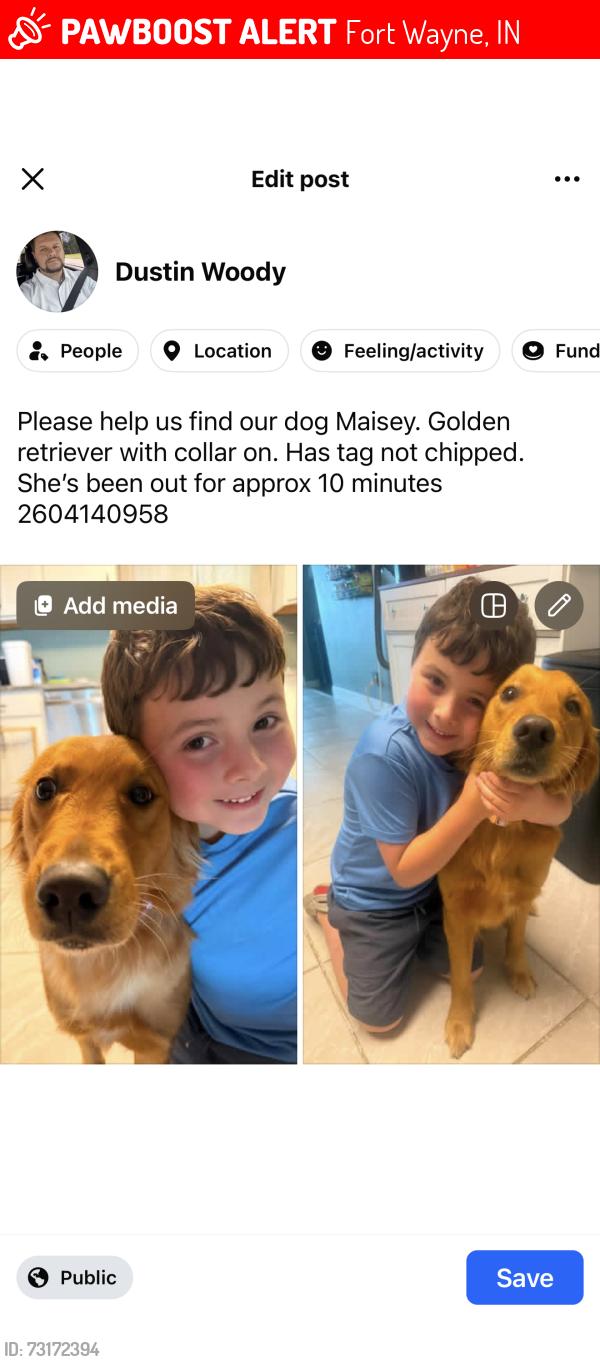 Lost Female Dog last seen Illinois Rd, Fort Wayne, IN 46804