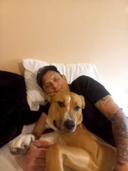 Lost Female Dog last seen Harris and hammond, Pitt Meadows, BC V3Y 1C3