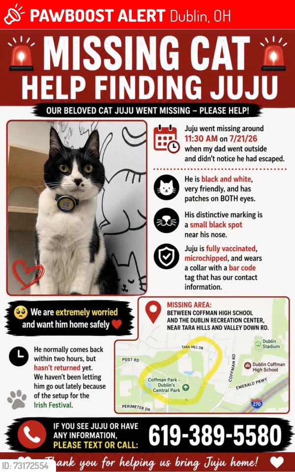 Lost Male Cat last seen Dublin recreational center, Dublin, OH 43017