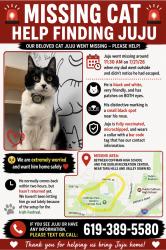 Lost Male Cat last seen Dublin recreational center, Dublin, OH 43017