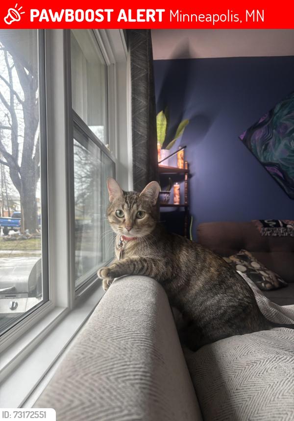 Lost Female Cat last seen 29th Ave N & Ewing, Minneapolis, MN 55422