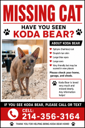 Lost Male Cat last seen Ash Lane, Corinth, TX 76210