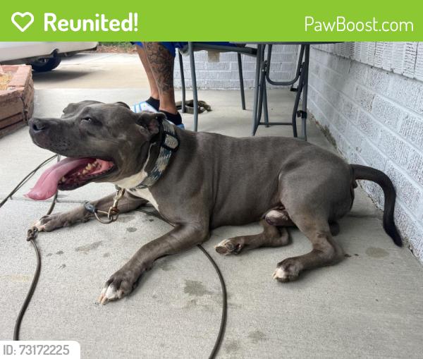 Reunited Male Dog last seen Near E 13th Ave, Aurora, CO 80011, USA, Aurora, CO 80011