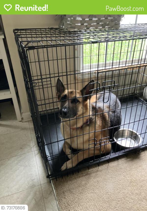 Reunited Female Dog last seen Autry, Mooresville, NC 28117