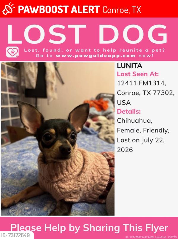 Lost Female Dog last seen Creighton rd & fm 1314, Conroe, TX 77302