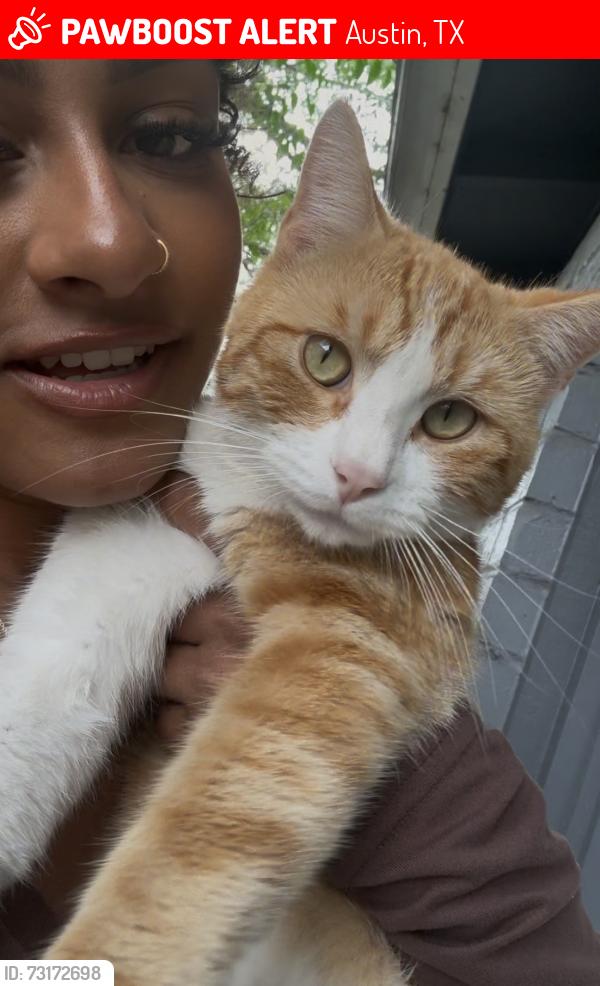 Lost Male Cat last seen Near howellwood way, Austin, TX 78748