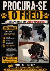 Lost Male Dog last seen Near, Campo Magro, PR 