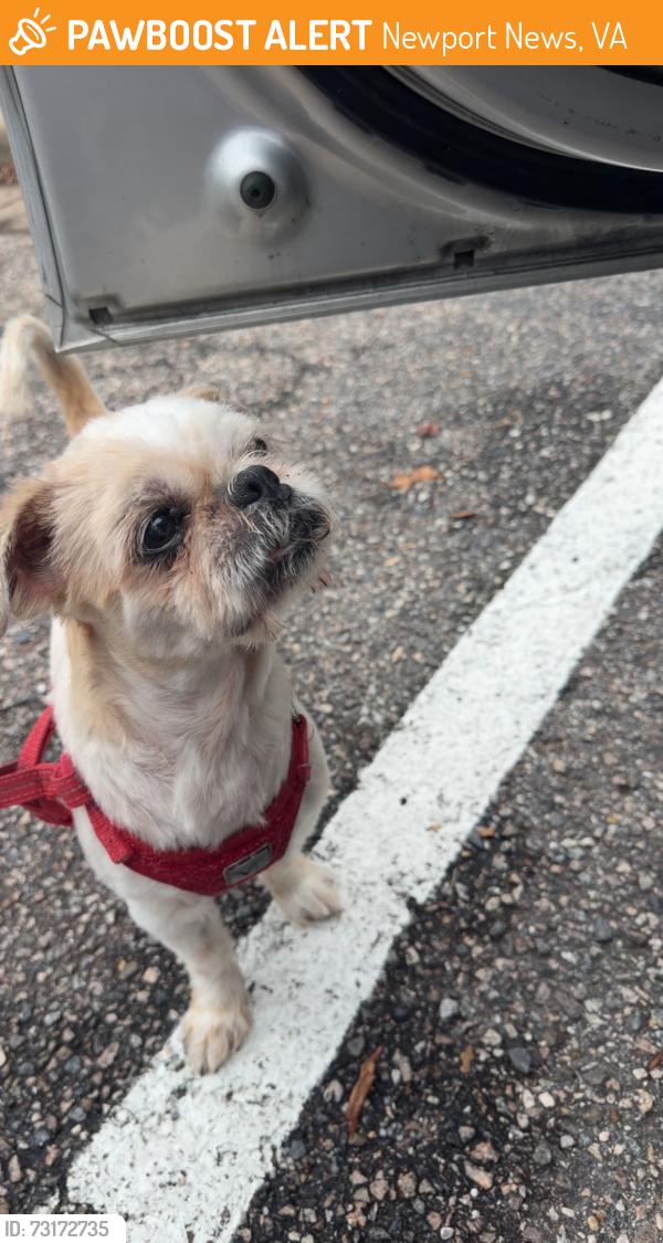 Found/Stray Male Dog last seen Circuit Lane, Newport News, VA 23608