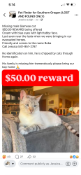 Reunited Male Cat last seen Expo, Central Point, OR 97502