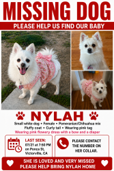 Lost Female Dog last seen GreenTree Blvd & Third, Victorville, CA 92395