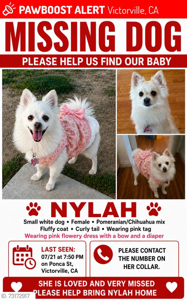 Lost Female Dog last seen GreenTree Blvd & Third, Victorville, CA 92395
