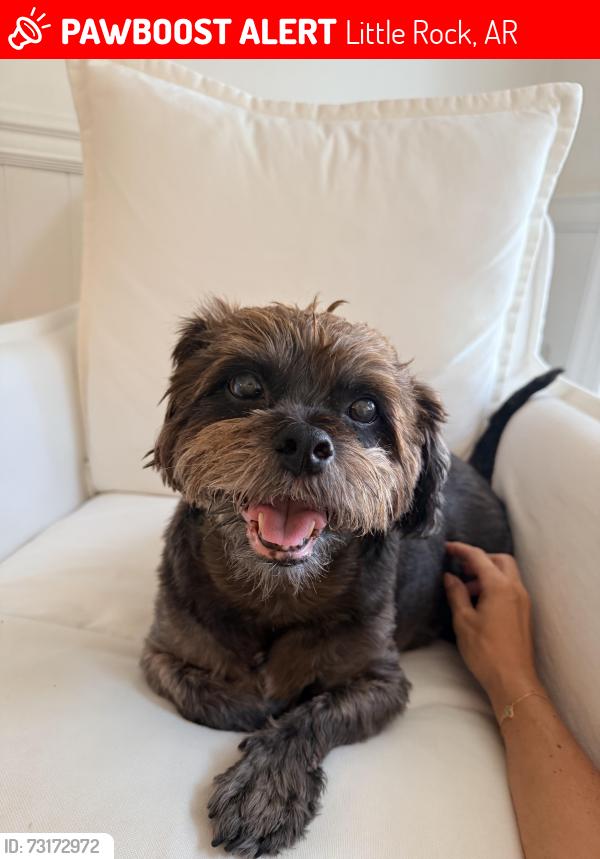 Lost Male Dog last seen Hinson & Rodney Parham, Little Rock, AR 72212