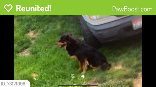Reunited Male Dog last seen 1st ave north, Nampa, ID 83687
