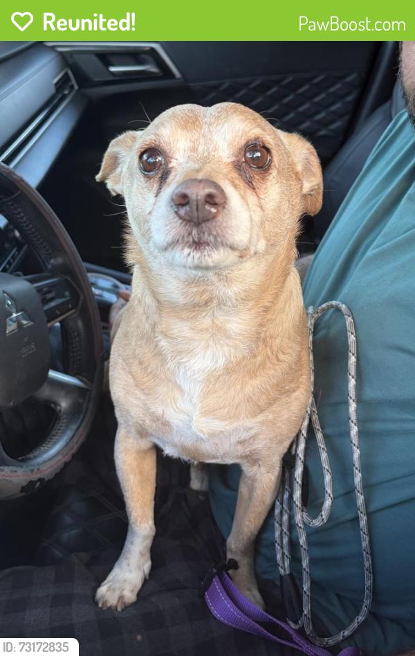 Reunited Male Dog last seen Coral Springs, FL, Coral Springs, FL 33065