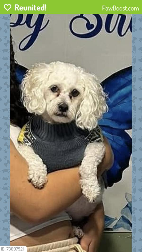 Reunited Male Dog last seen Near Pendleton Pike, Indianapolis, IN 46236, Indianapolis, IN 46236