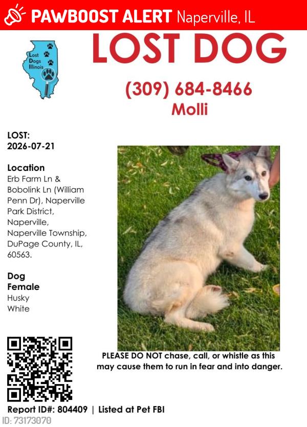 Lost Female Dog last seen Erb Farm Ln & Bobolink Ln, Naperville, IL 60563