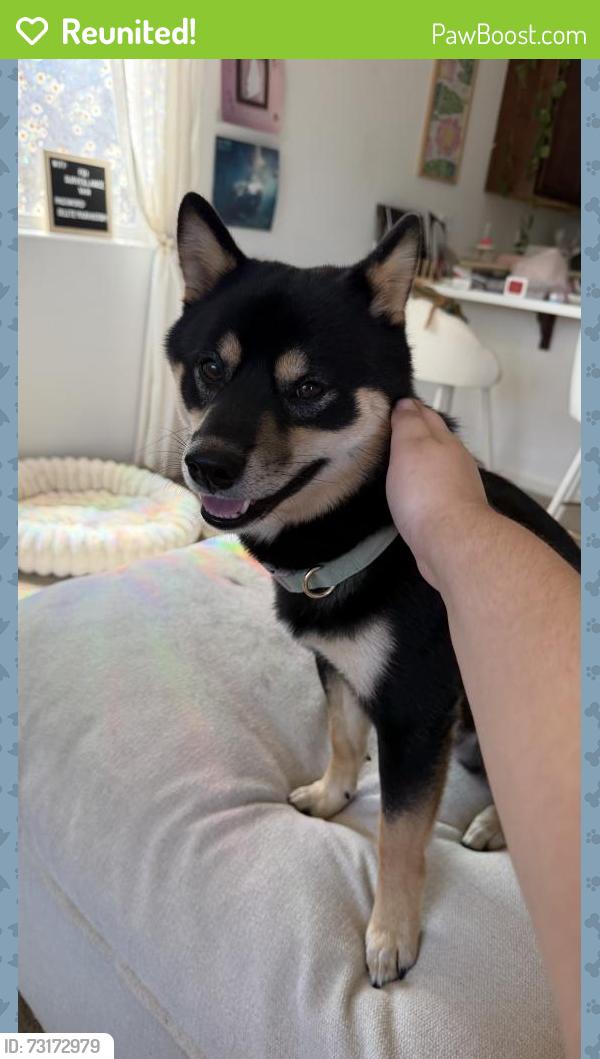 Reunited Male Dog last seen Lasalle Dr, Merced, CA 95348