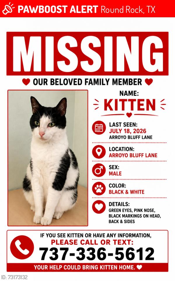 Lost Male Cat last seen Arroyo bluff lane, Round Rock, TX 78681