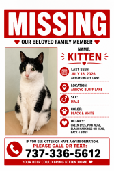 Lost Male Cat last seen Arroyo bluff lane, Round Rock, TX 78681