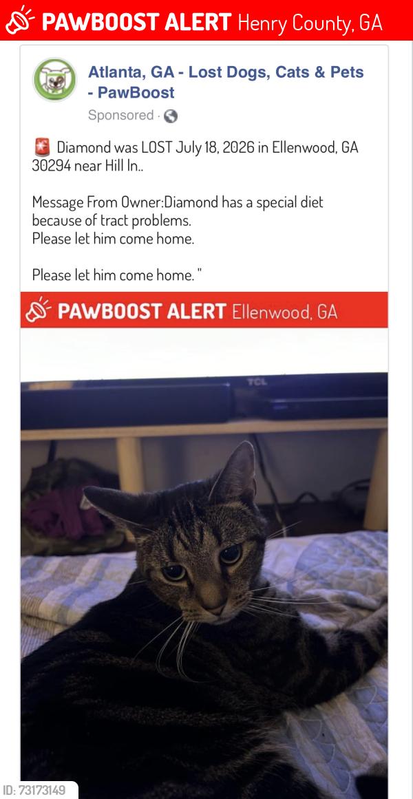 Lost Male Cat last seen Hill Ln., Henry County, GA 30294