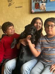 Reunited Female Dog last seen Central buckeye phx, Phoenix, AZ 85003