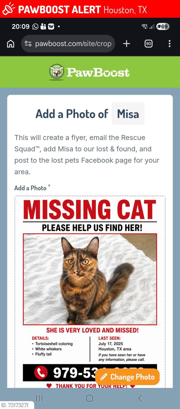 Lost Female Cat last seen Westheimer Rd & Woodland Park Dr, Richmond Ave, Houston, TX 77082, Houston, TX 77082