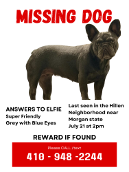 Lost Female Dog last seen Northwick rd and Welbourne ave, Baltimore, MD 21218